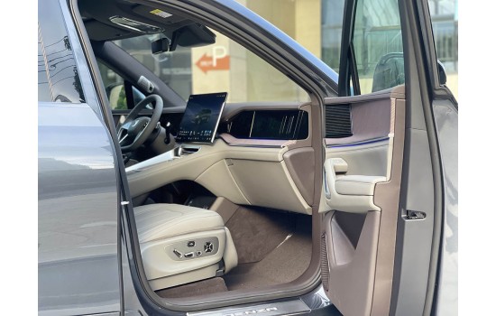 Denza N9 Grey